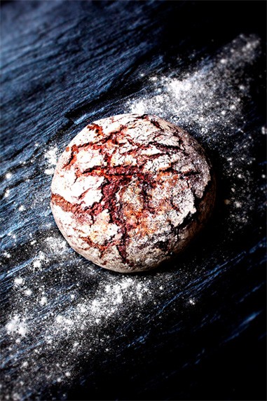 Pane
